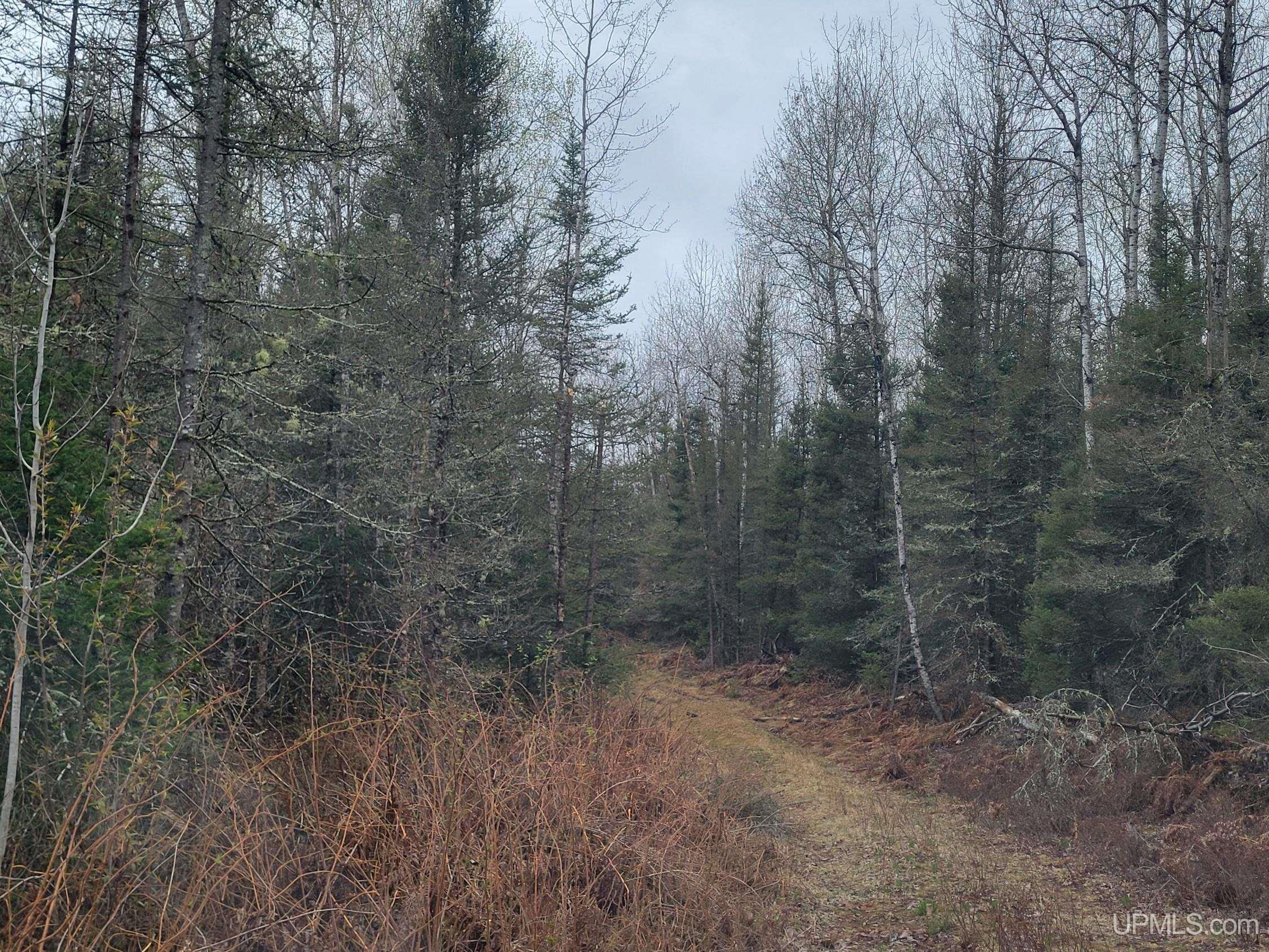 5 Camp 5 Road Crystal Falls, MI 49920 - Photo 4 of 5