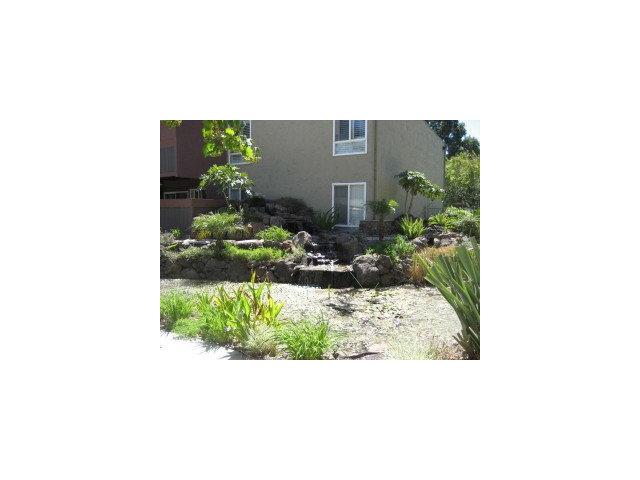 436 Dempsey Road, Unit 237 Milpitas, CA 95035 - Photo 8 of 9 Gallery Image 8