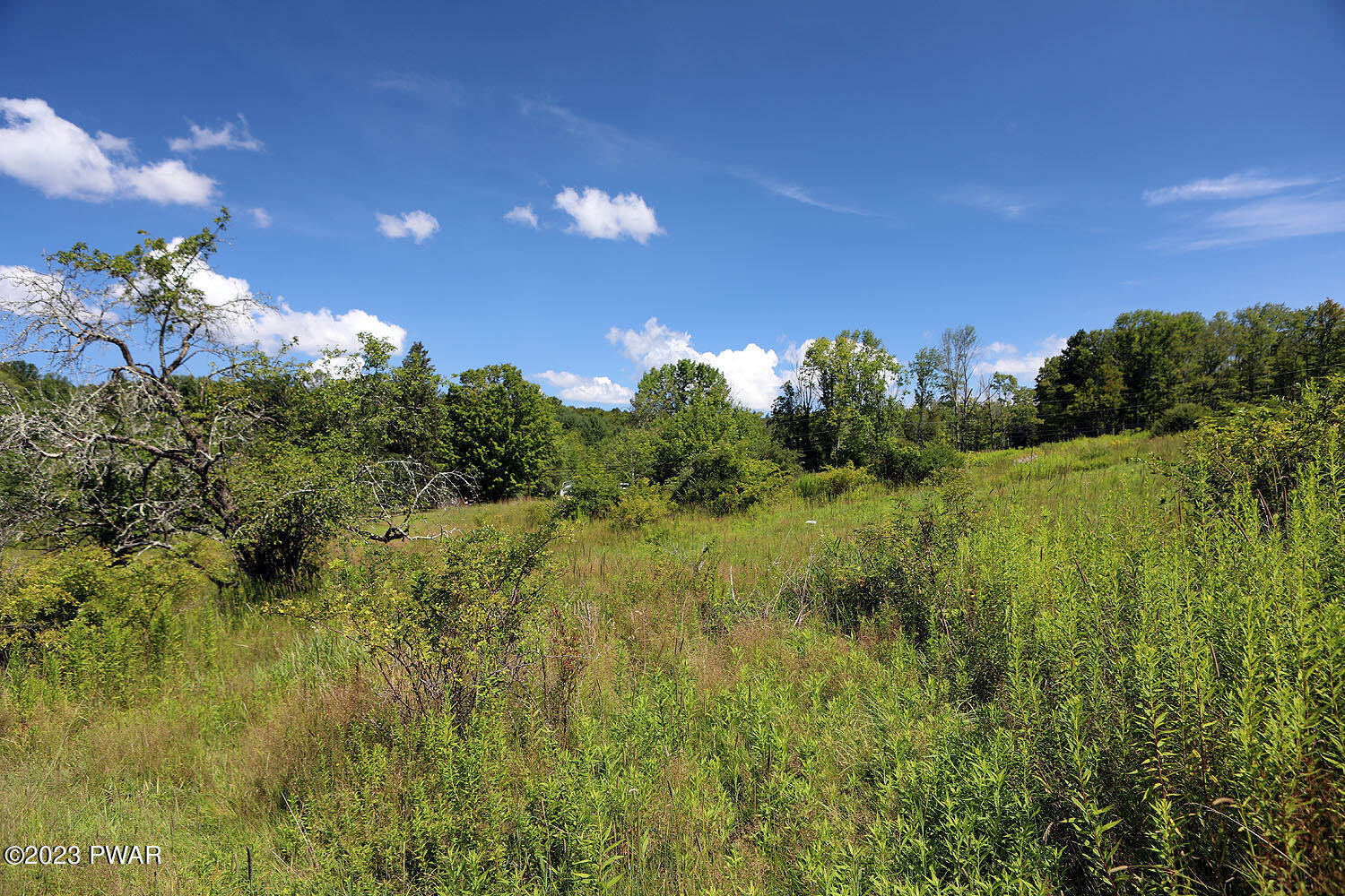 178 Baldwin Hill Road Damascus, PA 18415 - Photo 29 of 38