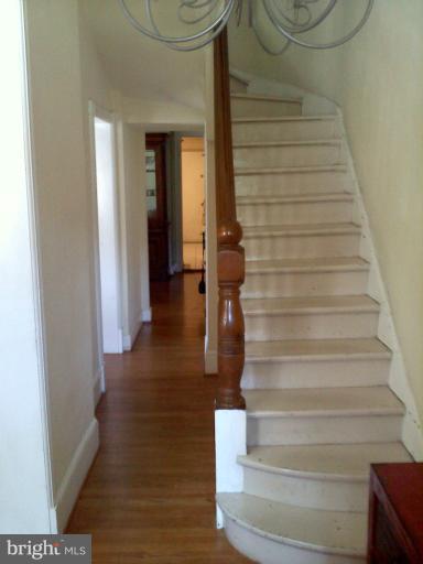 204 East Biddle Street, Unit MAIN Baltimore, MD 21202 - Photo 12 of 15 staircase