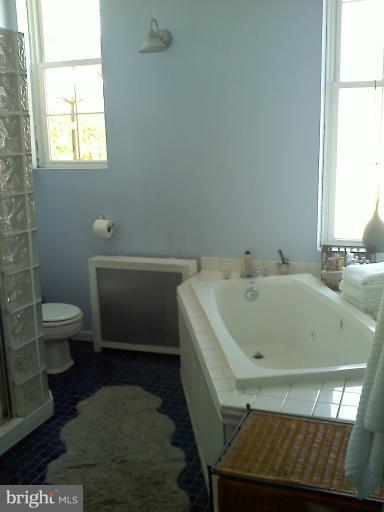 204 East Biddle Street, Unit MAIN Baltimore, MD 21202 - Photo 7 of 15 Bath