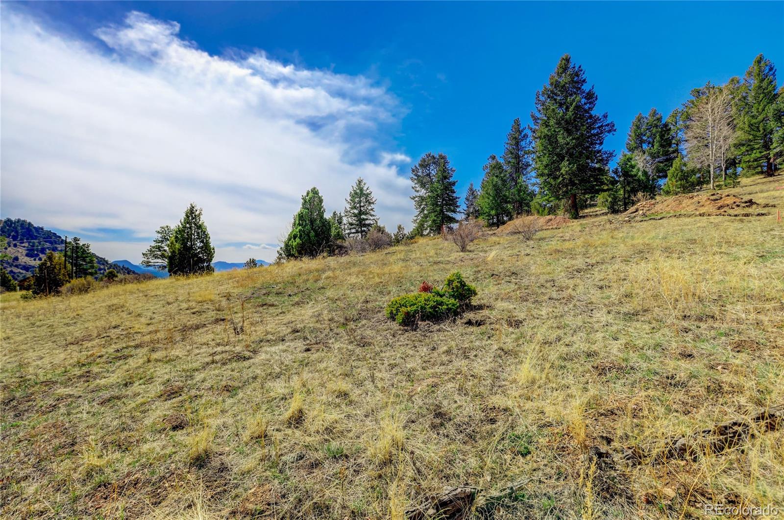 14515 Reserve Road Pine, CO 80470 - Photo 13 of 32