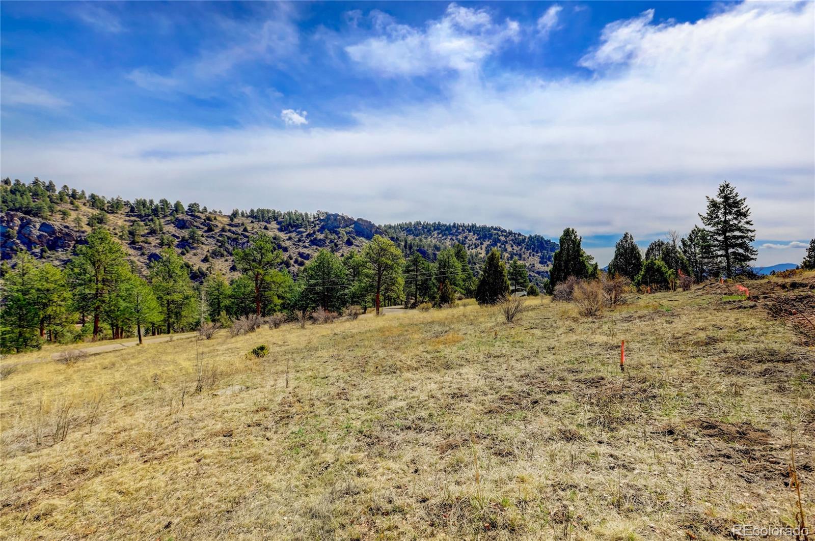 14515 Reserve Road Pine, CO 80470 - Photo 14 of 32