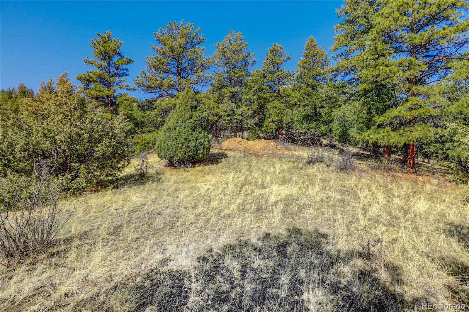 14515 Reserve Road Pine, CO 80470 - Photo 15 of 32