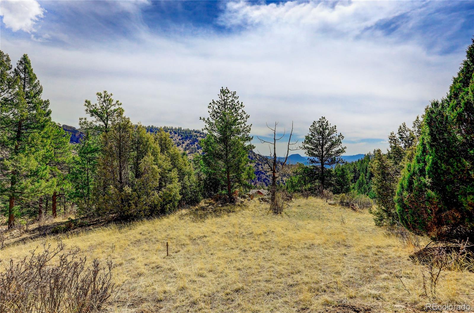 14515 Reserve Road Pine, CO 80470 - Photo 16 of 32