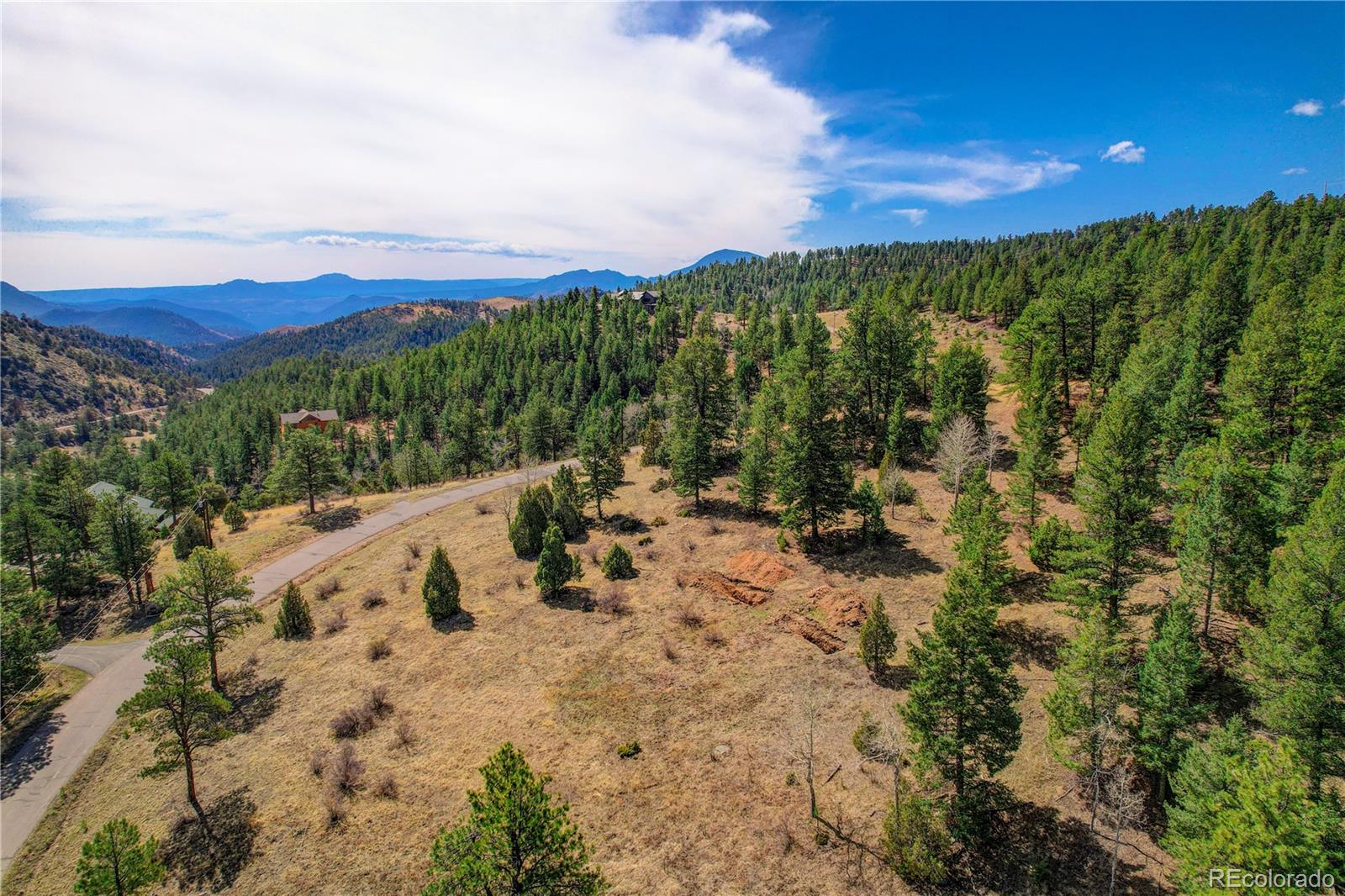 14515 Reserve Road Pine, CO 80470 - Photo 21 of 32