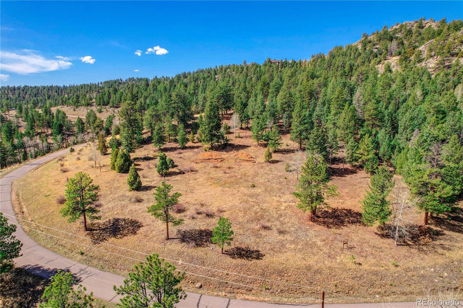 14515 Reserve Road Pine, CO 80470 - Photo 6 of 32