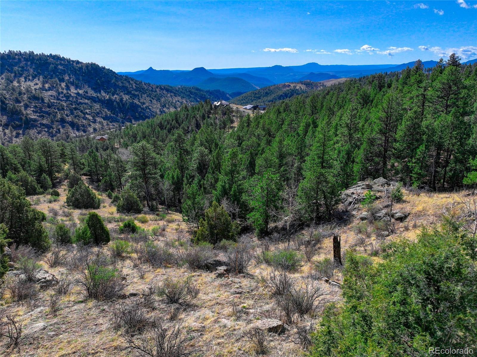 14515 Reserve Road Pine, CO 80470 - Photo 7 of 32