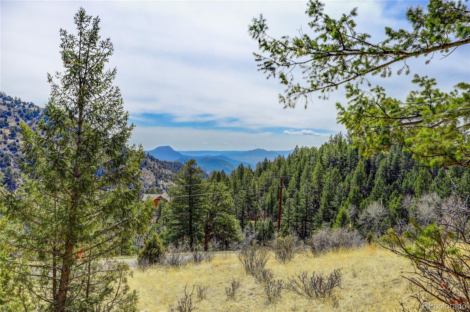 14515 Reserve Road Pine, CO 80470 - Photo 9 of 32