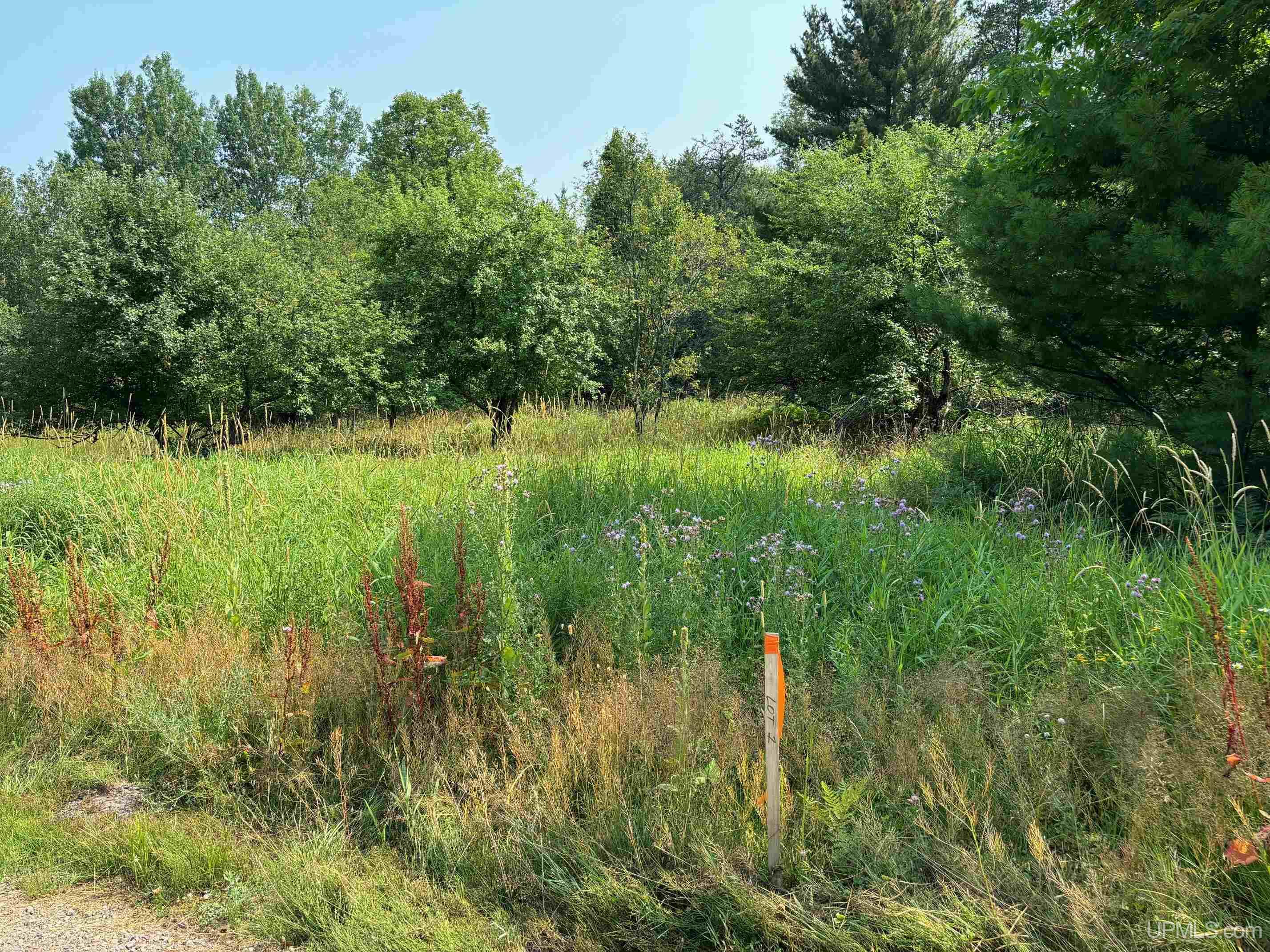 21505 River Trails Road Houghton, MI 49931 - Photo 2 of 11