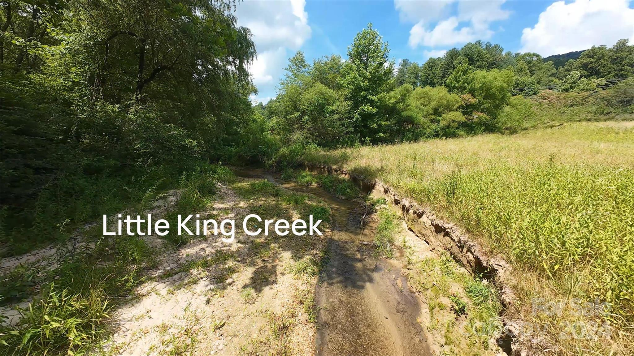 2868 Zacks Fork Road Lenoir, NC 28645 - Photo 3 of 20 Gallery Image 3