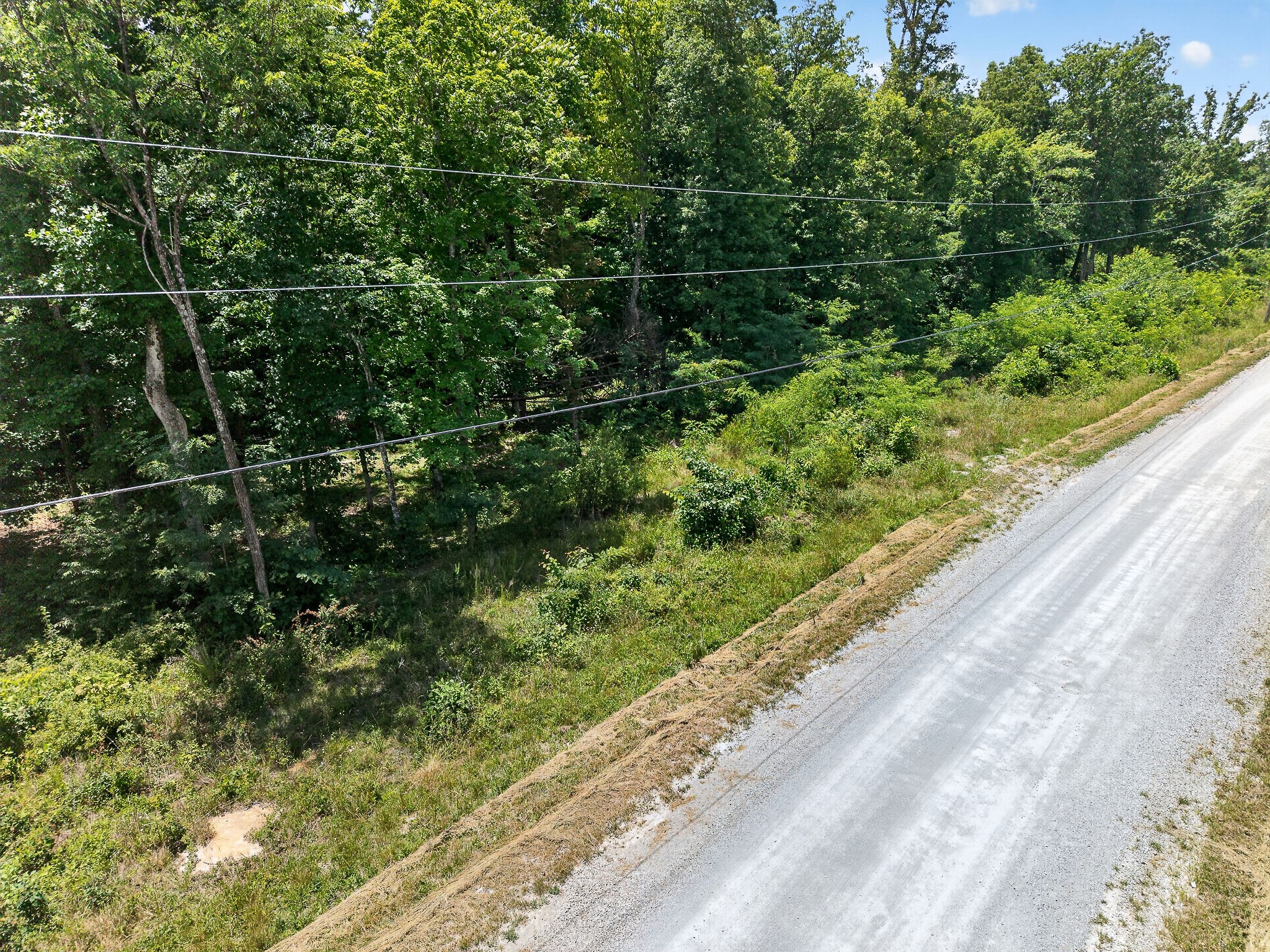 0 Coal Bank Road Sparta, TN 38583 - Photo 12 of 15 a view of a yard