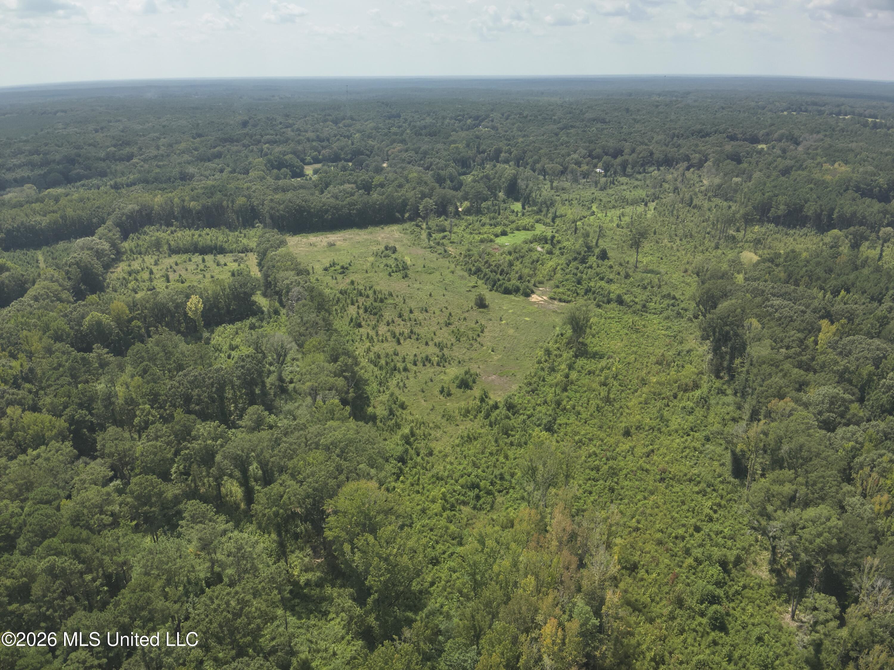 149 Gober Road Camden, MS 39045 - Photo 11 of 26 DJI_20260728145951_0005_V