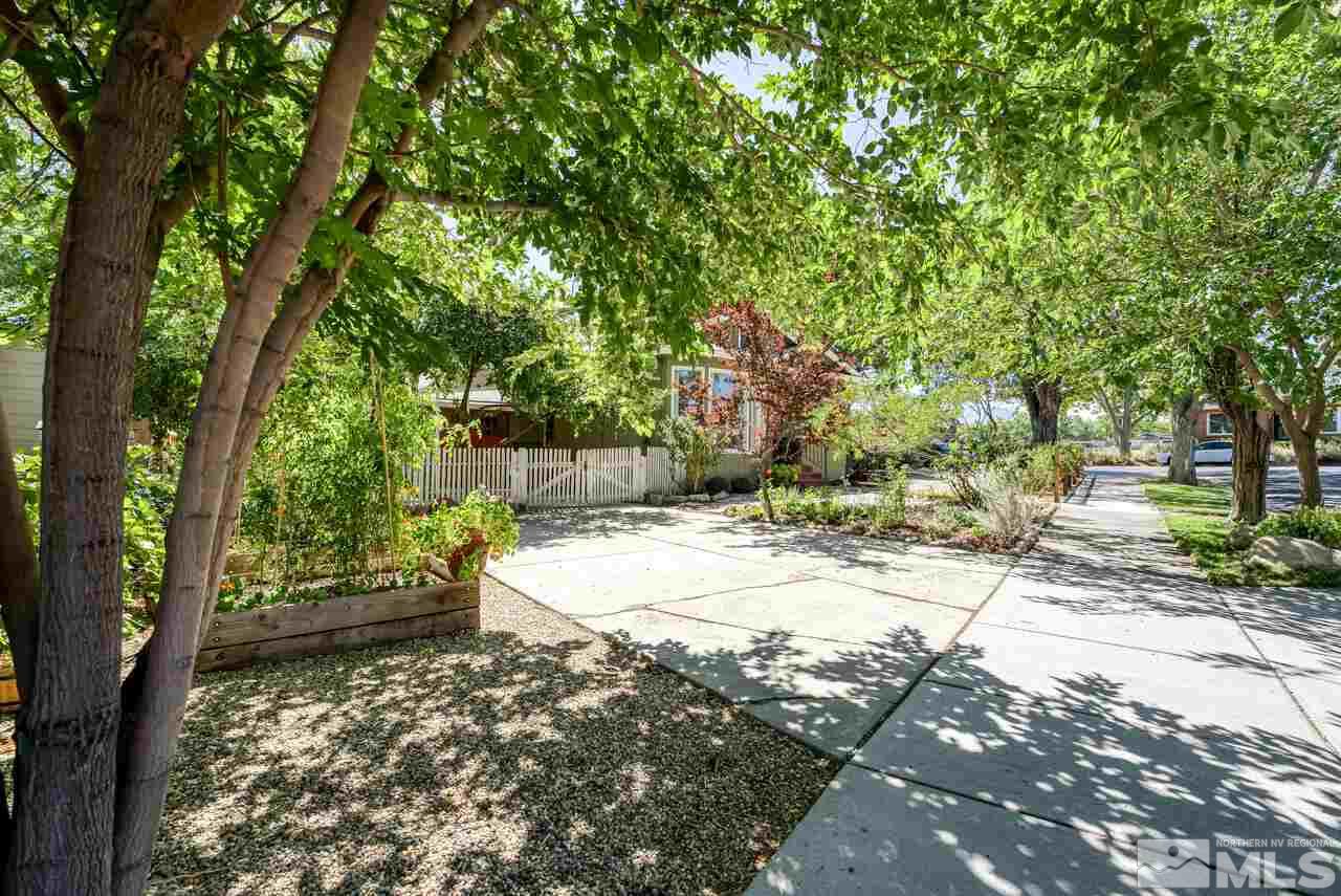 230 Martin Street Reno, NV 89509 - Photo 33 of 38 a view of a yard with plants and trees