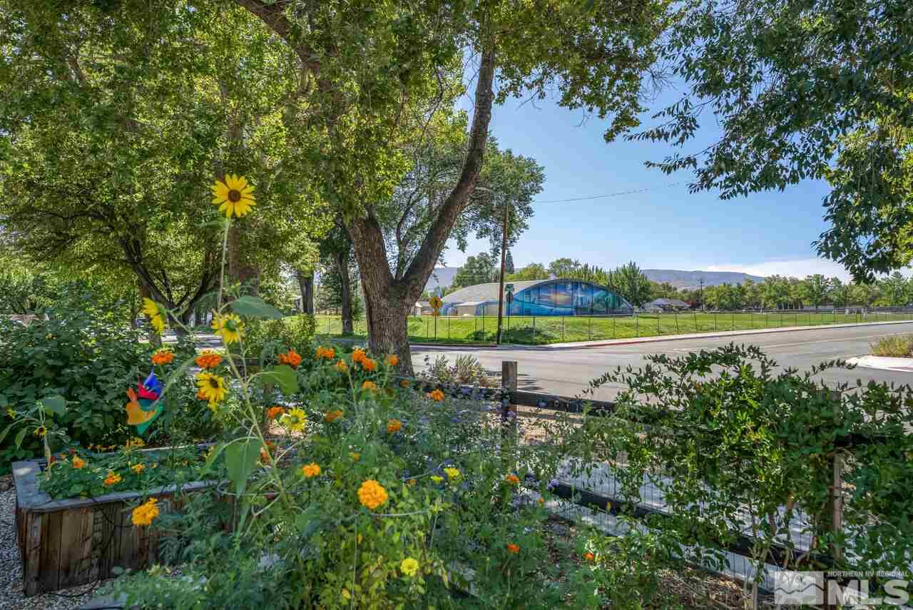 230 Martin Street Reno, NV 89509 - Photo 35 of 38 a view of a park with large trees and a lake view