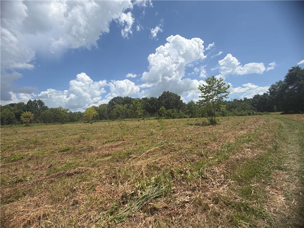 Tbd Campbell Road Knob Noster, MO 65336 - Photo 68 of 88 Gallery Image 68