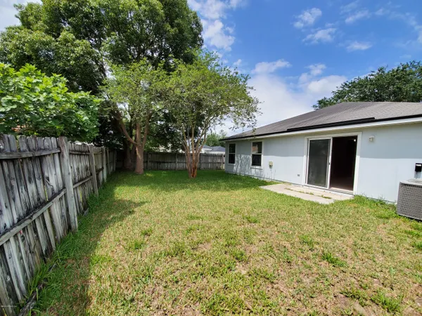 a backyard of a house with plants and large tree