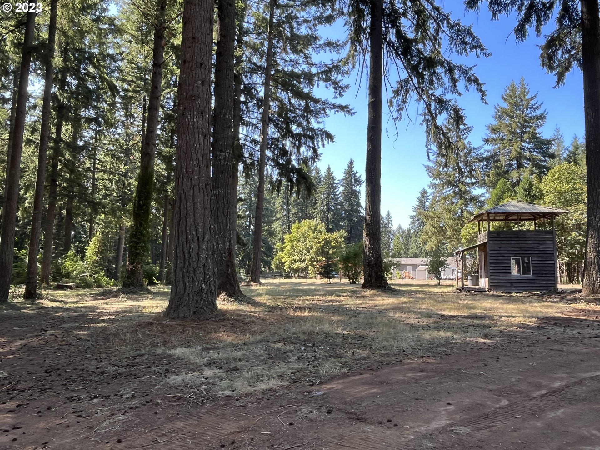 19040 South Mattoon Road Estacada, OR 97023 - Photo 45 of 46 a view of a house with trees and plants