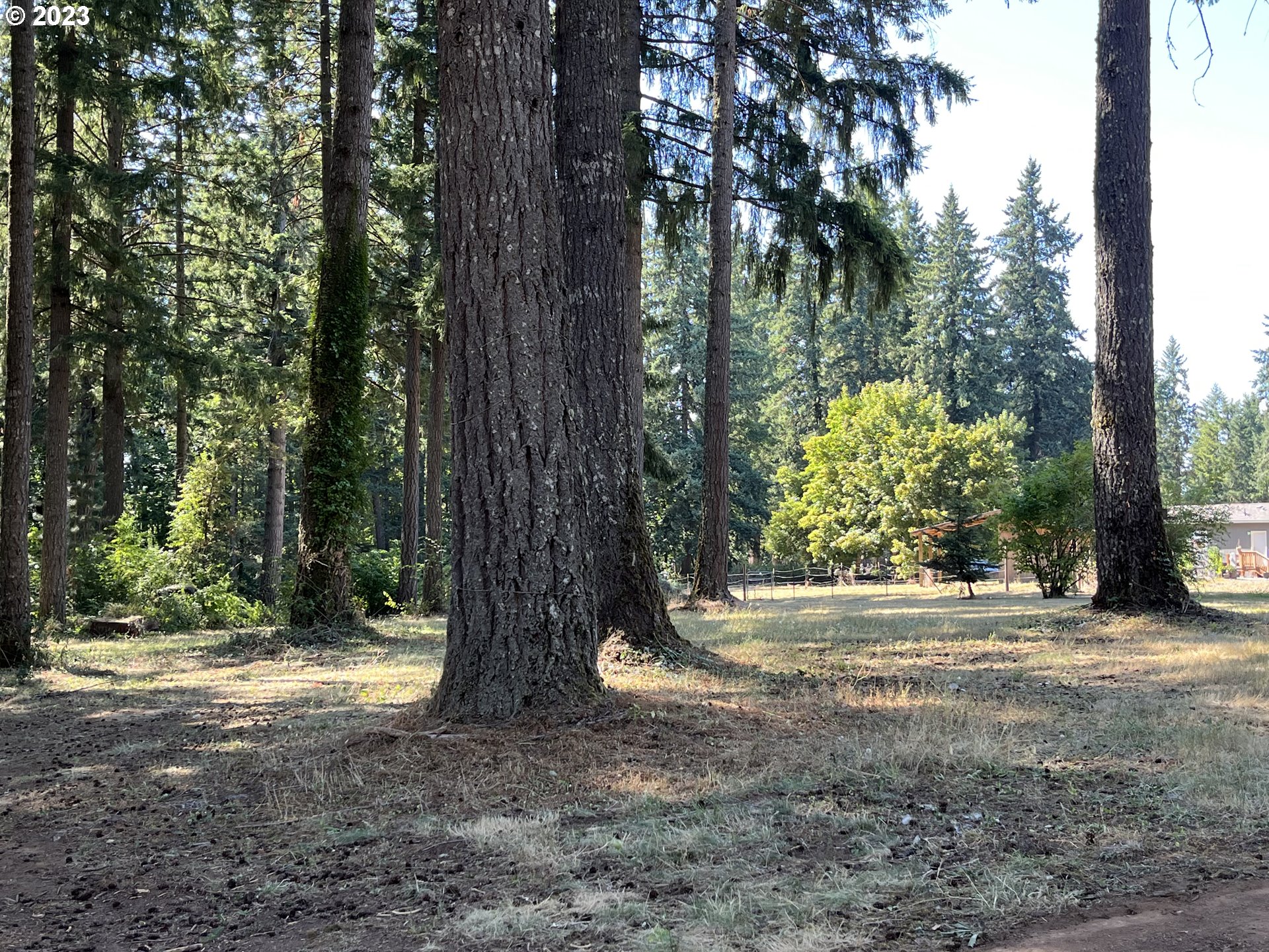 19040 South Mattoon Road Estacada, OR 97023 - Photo 46 of 46 a view of outdoor space with green space