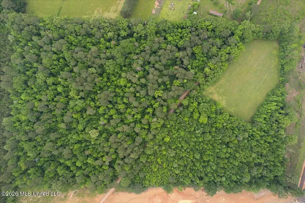 $85,500 | Calhoun Lane, Forest, MS 39074
