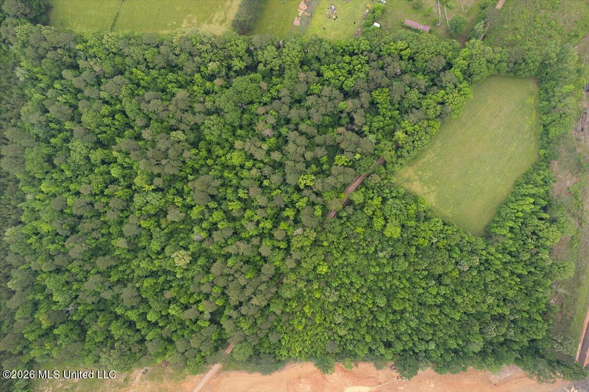 Calhoun Lane Forest, MS 39074 - Photo 3 of 8 3-DJI_0931