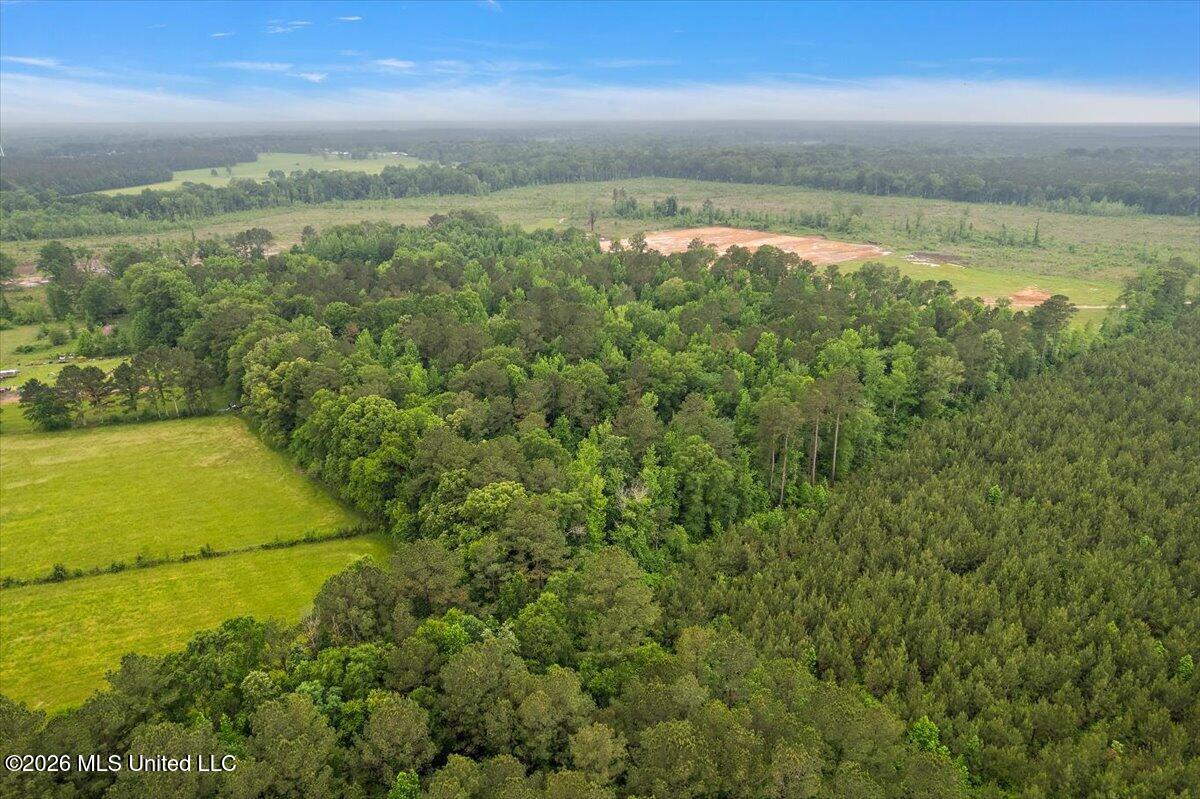 Calhoun Lane Forest, MS 39074 - Photo 4 of 8 4-DJI_0926