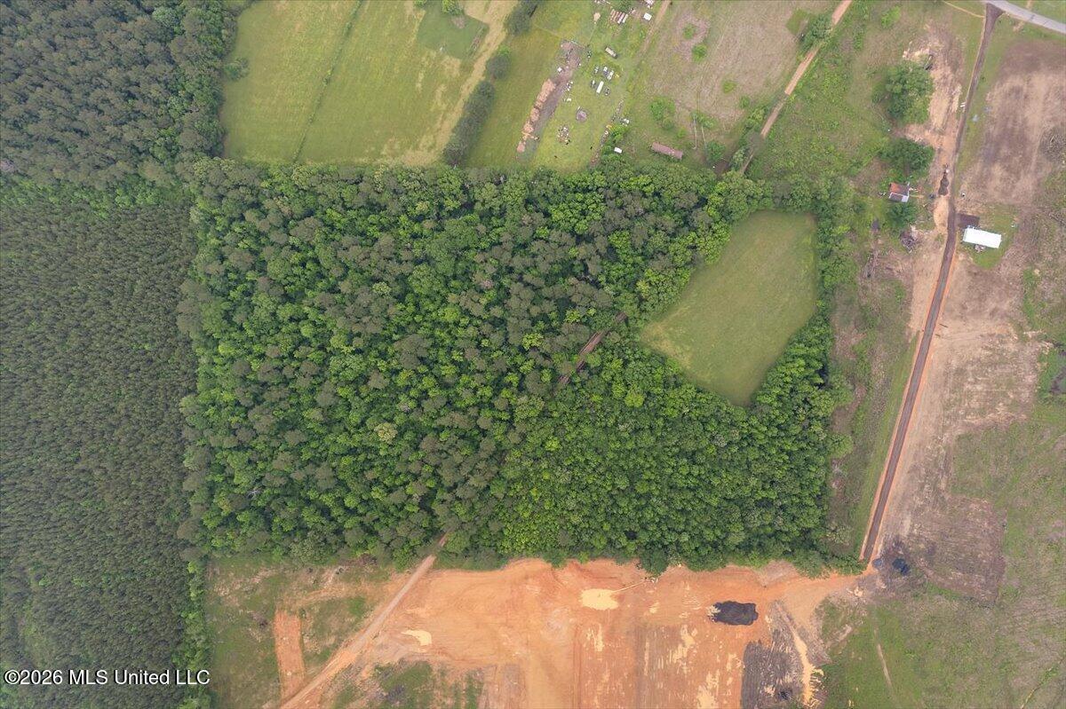 Calhoun Lane Forest, MS 39074 - Photo 7 of 8 7-DJI_0928