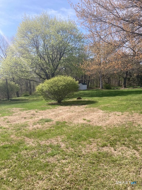88 Knox Road Litchfield, CT 06759 - Photo 5 of 28 a view of a park