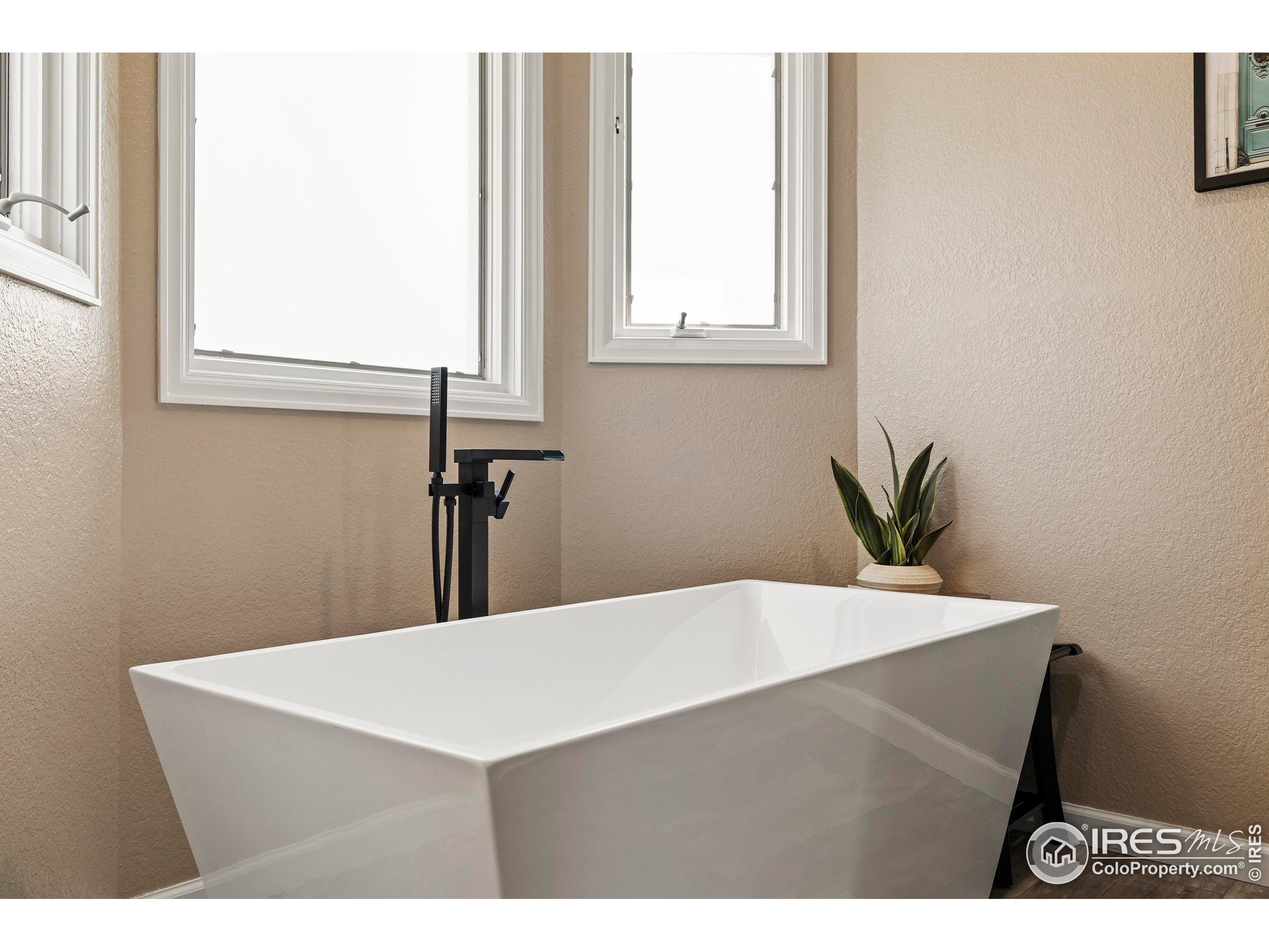 7779 Windsong Road Windsor, CO 80550 - Photo 19 of 38