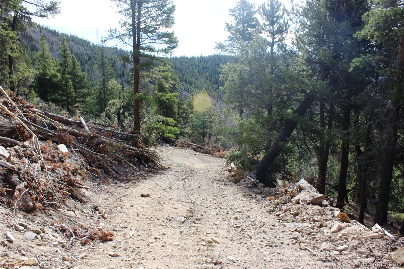 4-1 Lamartine Road Idaho Springs, CO 80452 - Photo 1 of 22 a view of a forest filled with trees