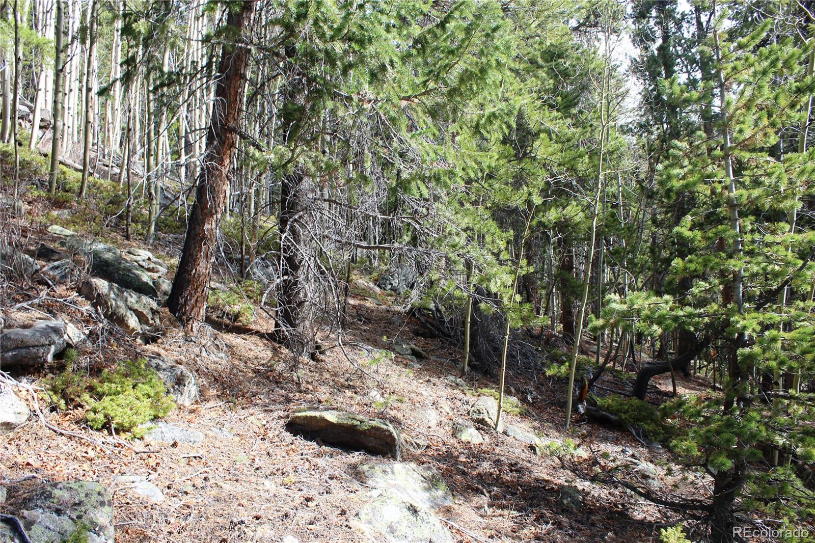 4-1 Lamartine Road Idaho Springs, CO 80452 - Photo 11 of 22 a view of backyard with green space