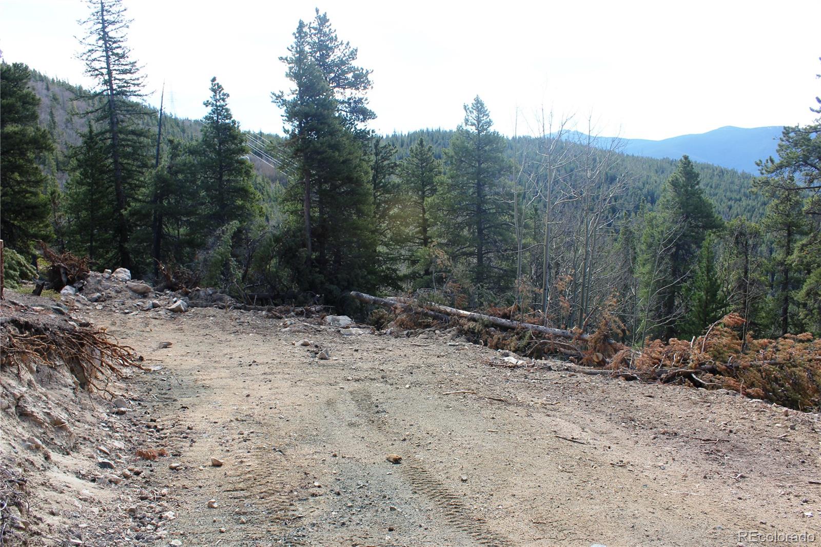 4-1 Lamartine Road Idaho Springs, CO 80452 - Photo 3 of 22 a view of a dry yard with trees in the background