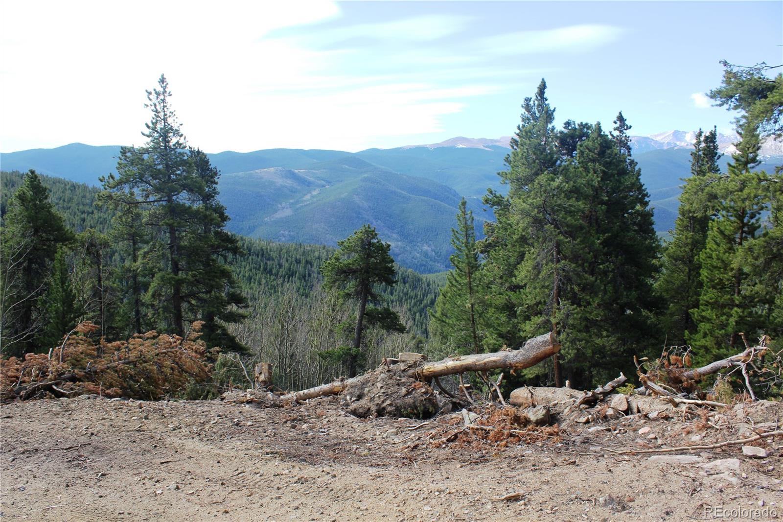 4-1 Lamartine Road Idaho Springs, CO 80452 - Photo 4 of 22 a view of a dry top with lots of trees