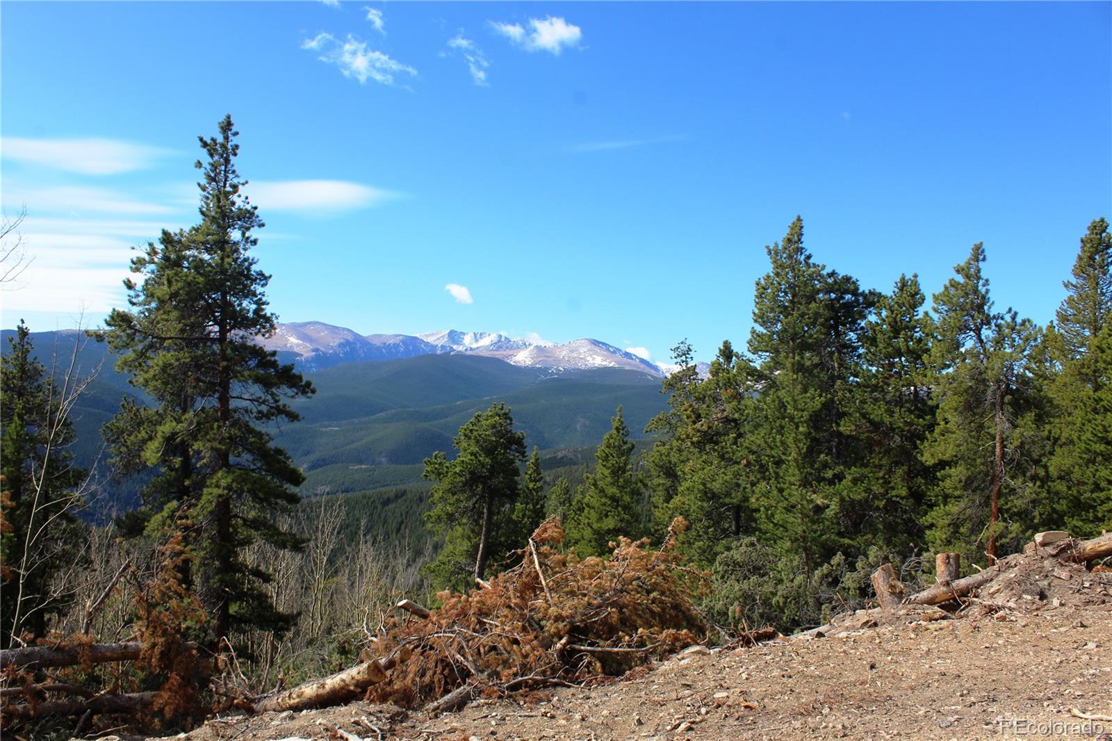 4-1 Lamartine Road Idaho Springs, CO 80452 - Photo 5 of 22 a view of a lake with a mountain in the background