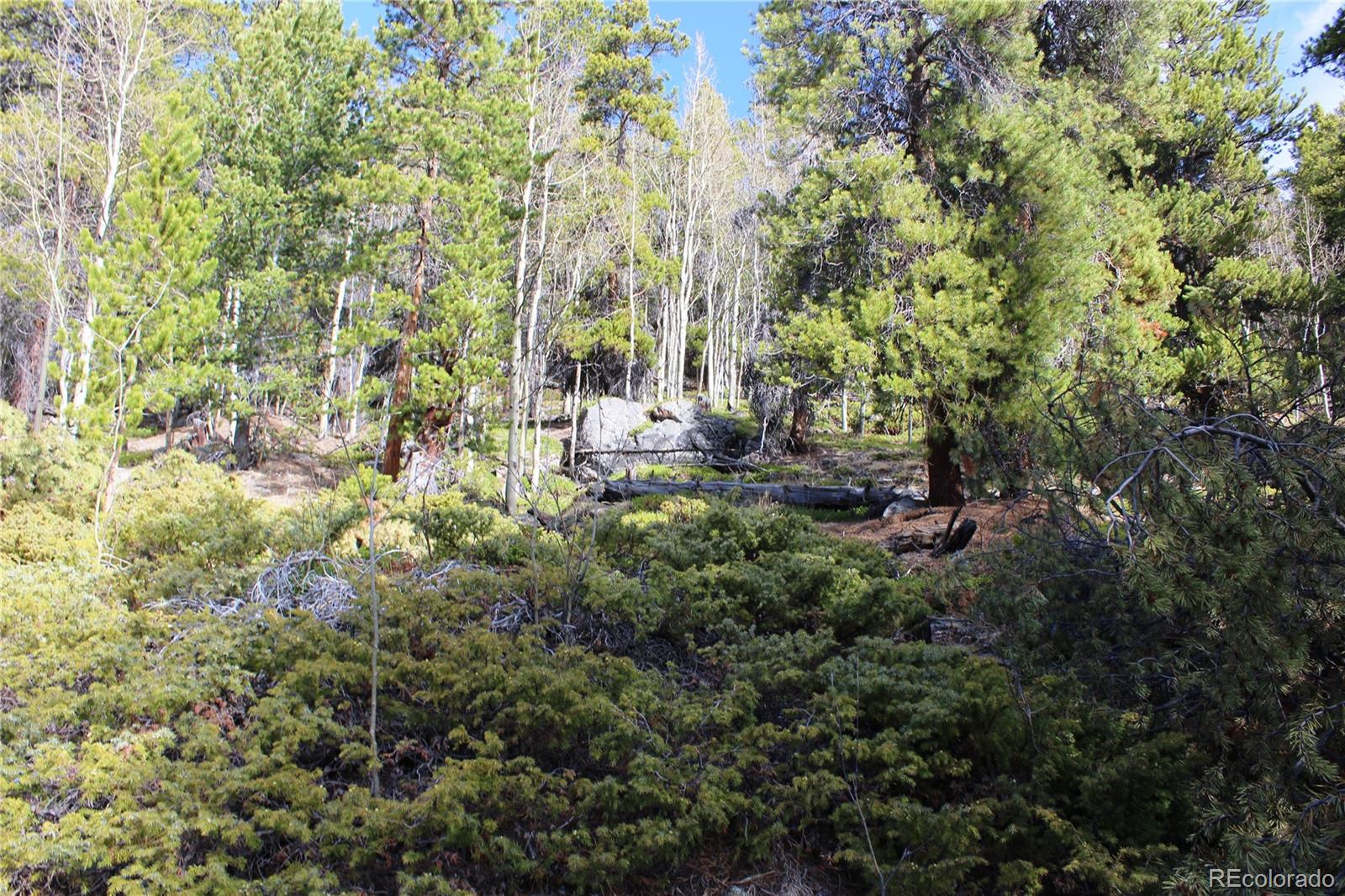 4-1 Lamartine Road Idaho Springs, CO 80452 - Photo 7 of 22 a view of yard with green space