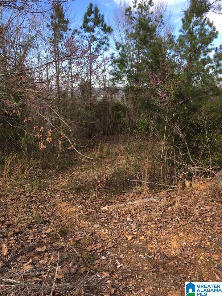 230 County Line Road Oxford, AL 36203 - Photo 42 of 50