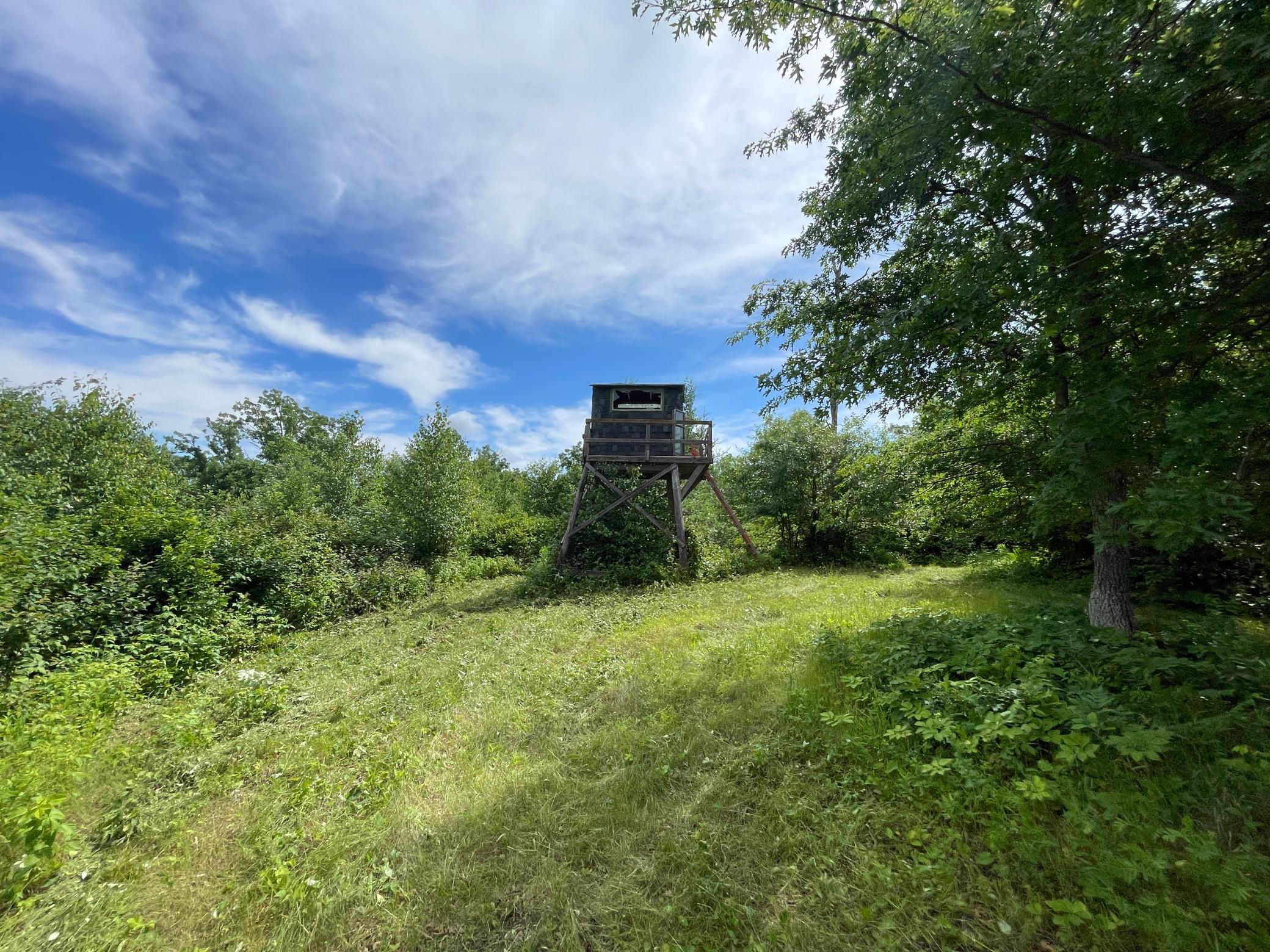 Tbd Boot Lake Road Southwest Bemidji, MN 56601 - Photo 24 of 55