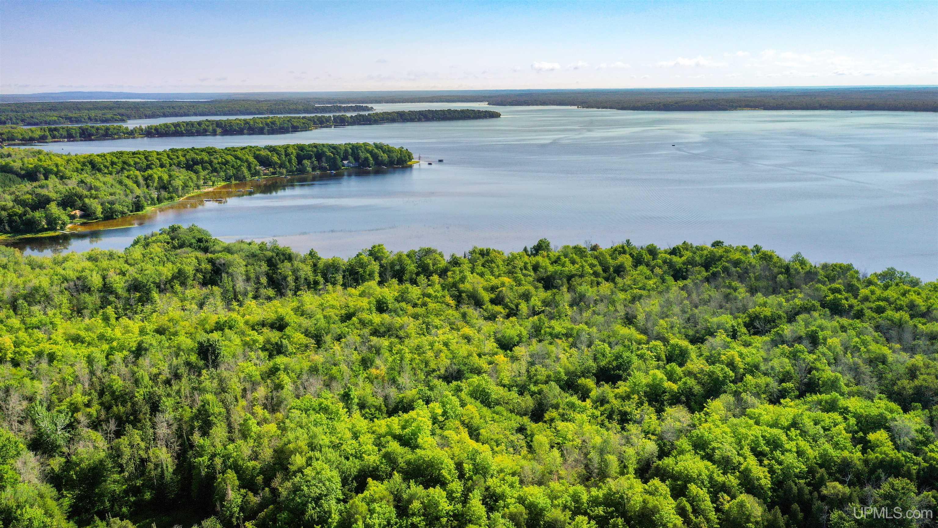 Tbd Neazor Point Road South Germfask, MI 49836 - Photo 21 of 27 Gallery Image 21