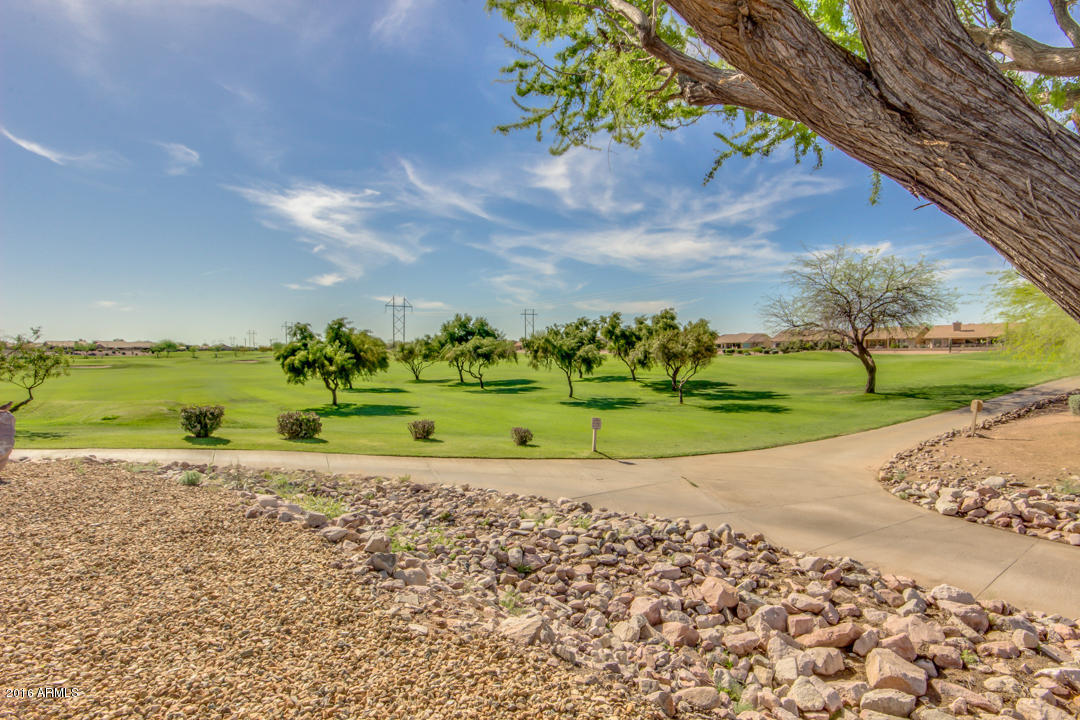 7593 Rugged Ironwood Road Gold Canyon, AZ 85118 - Photo 25 of 40 xPalo Brea-31 (1)