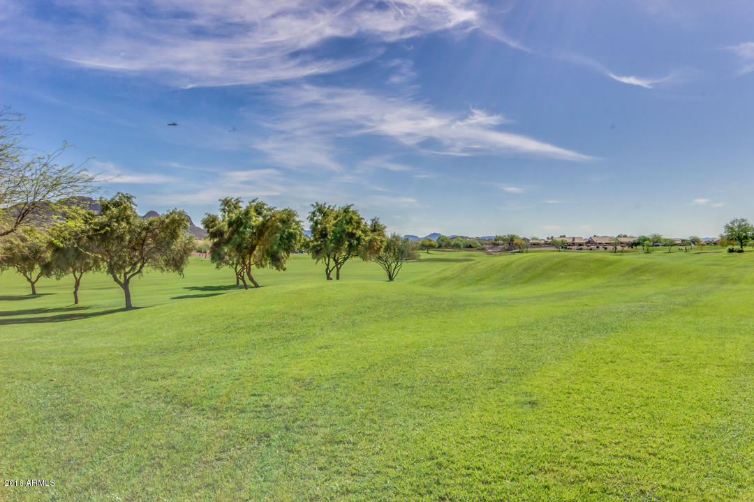7593 Rugged Ironwood Road Gold Canyon, AZ 85118 - Photo 26 of 40 xPalo Brea-31 (2)