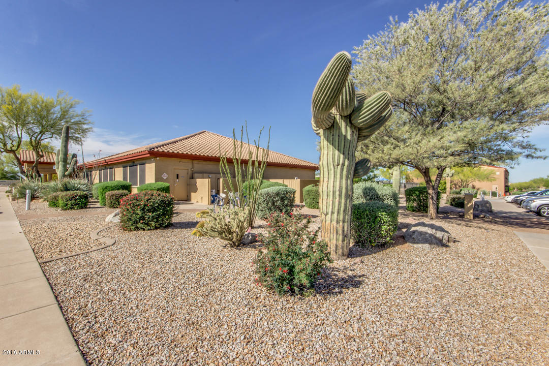 7593 Rugged Ironwood Road Gold Canyon, AZ 85118 - Photo 31 of 40 xPalo Brea-31 (7)