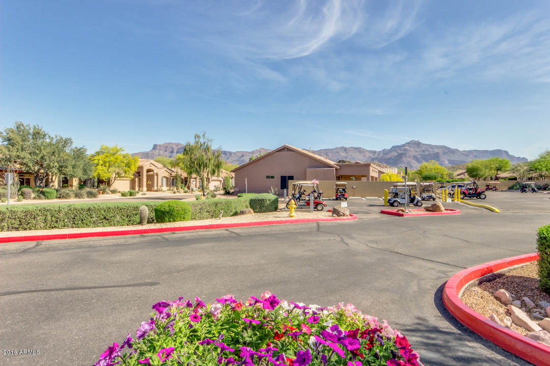7593 Rugged Ironwood Road Gold Canyon, AZ 85118 - Photo 34 of 40 xPalo Brea-31 (10)