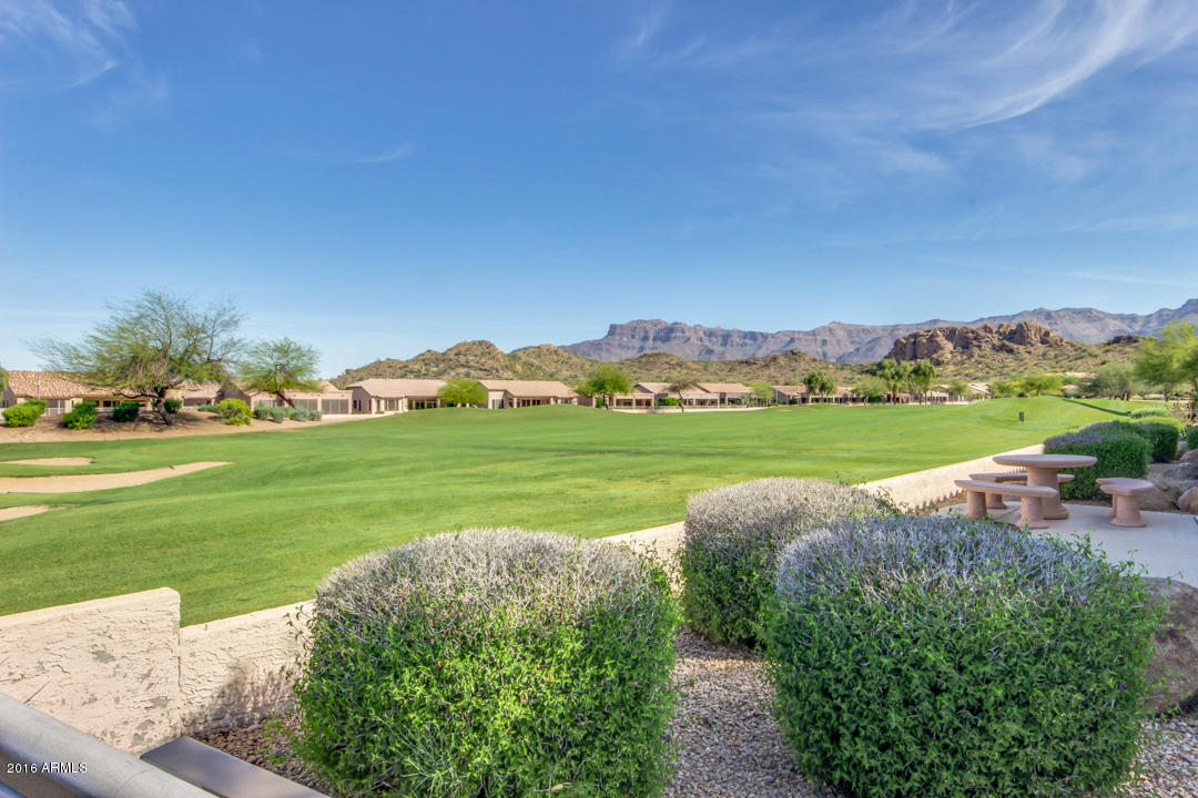 7593 Rugged Ironwood Road Gold Canyon, AZ 85118 - Photo 37 of 40 xPalo Brea-31 (13)