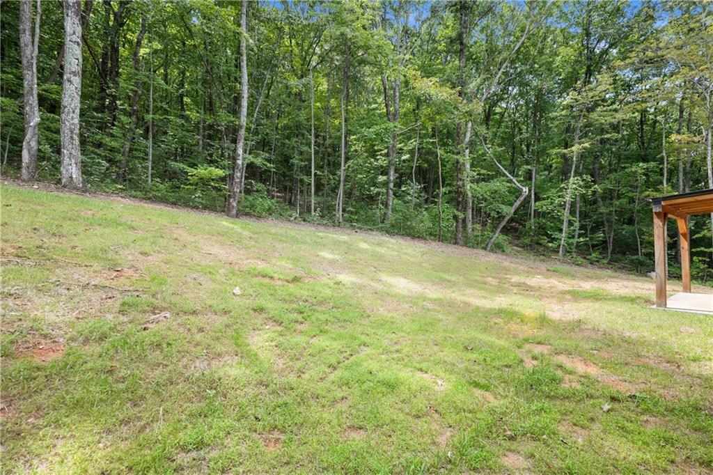 587 Cold Stream Trail Jasper, GA 30143 - Photo 25 of 41 a view of a yard with a trees