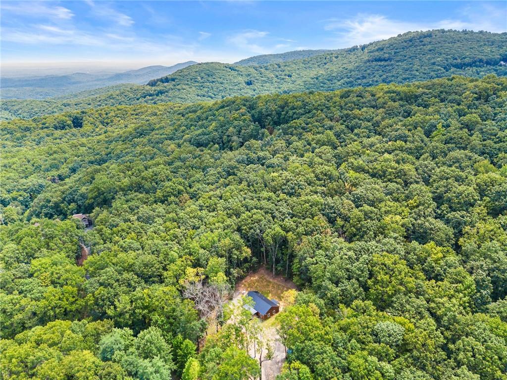 587 Cold Stream Trail Jasper, GA 30143 - Photo 37 of 41 a view of a green field with lots of bushes