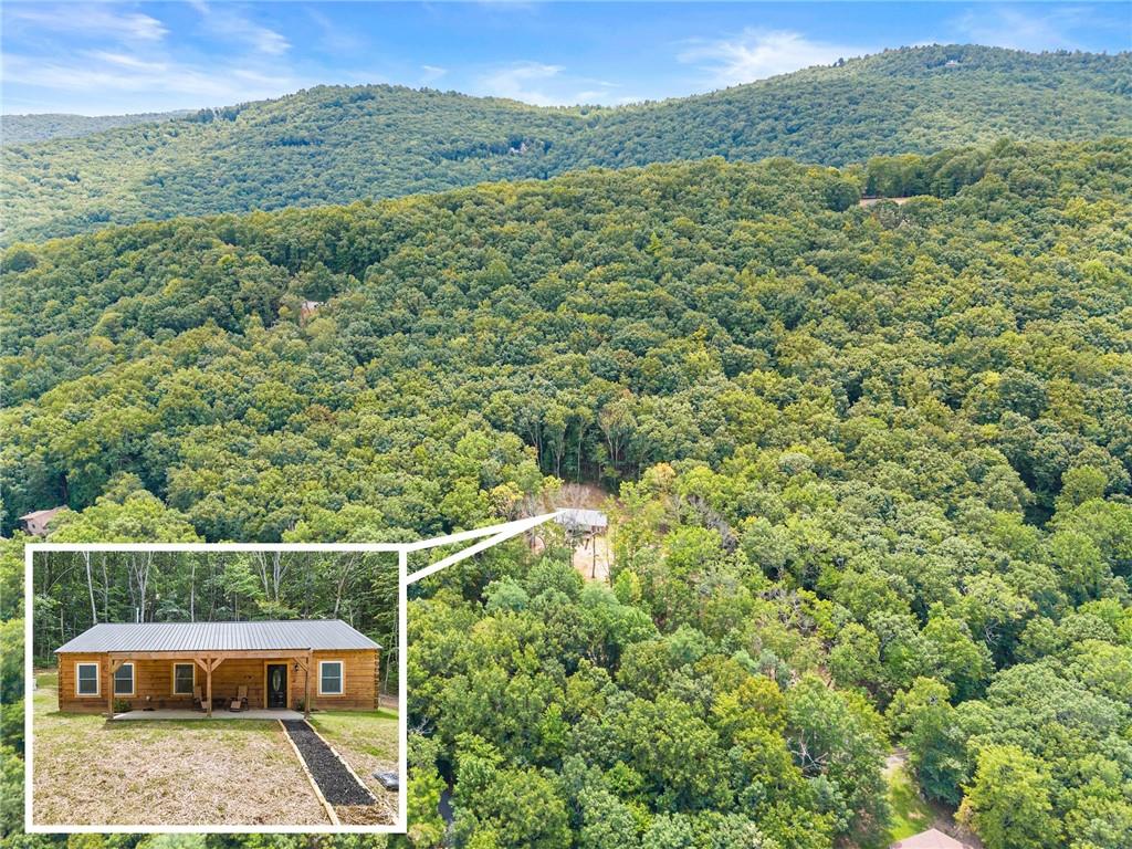 587 Cold Stream Trail Jasper, GA 30143 - Photo 38 of 41 a view of a forest with a bench