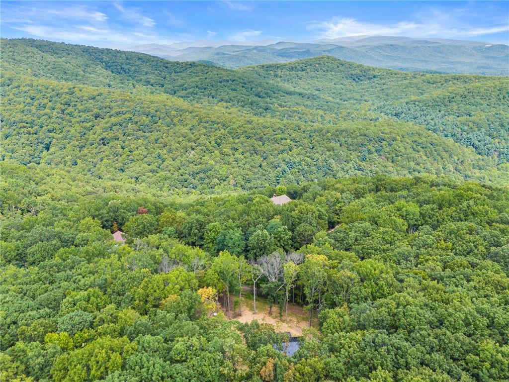 587 Cold Stream Trail Jasper, GA 30143 - Photo 40 of 41 a view of a green field with lots of bushes
