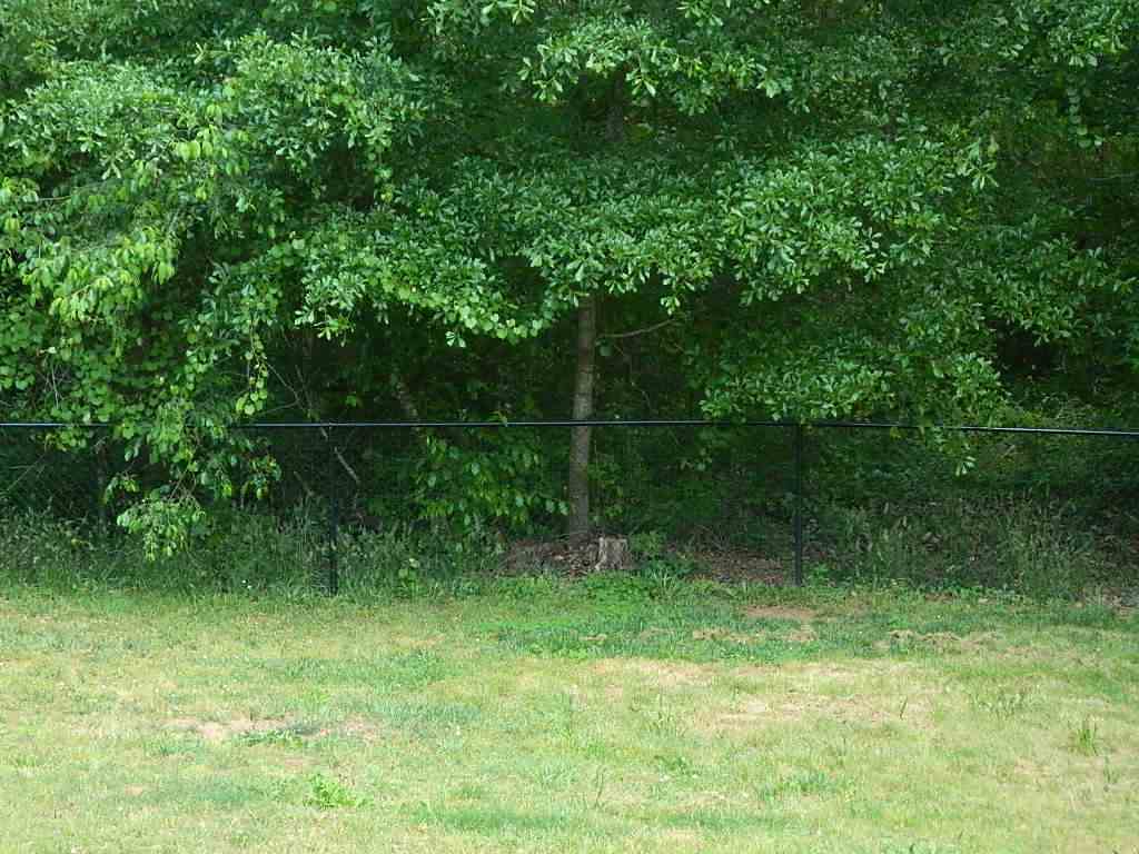 1804 McClellan Road Anderson, SC 29621 - Photo 7 of 24