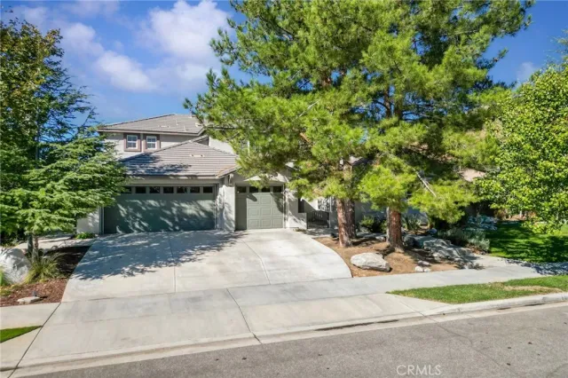 a view of backyard with a patio and plants