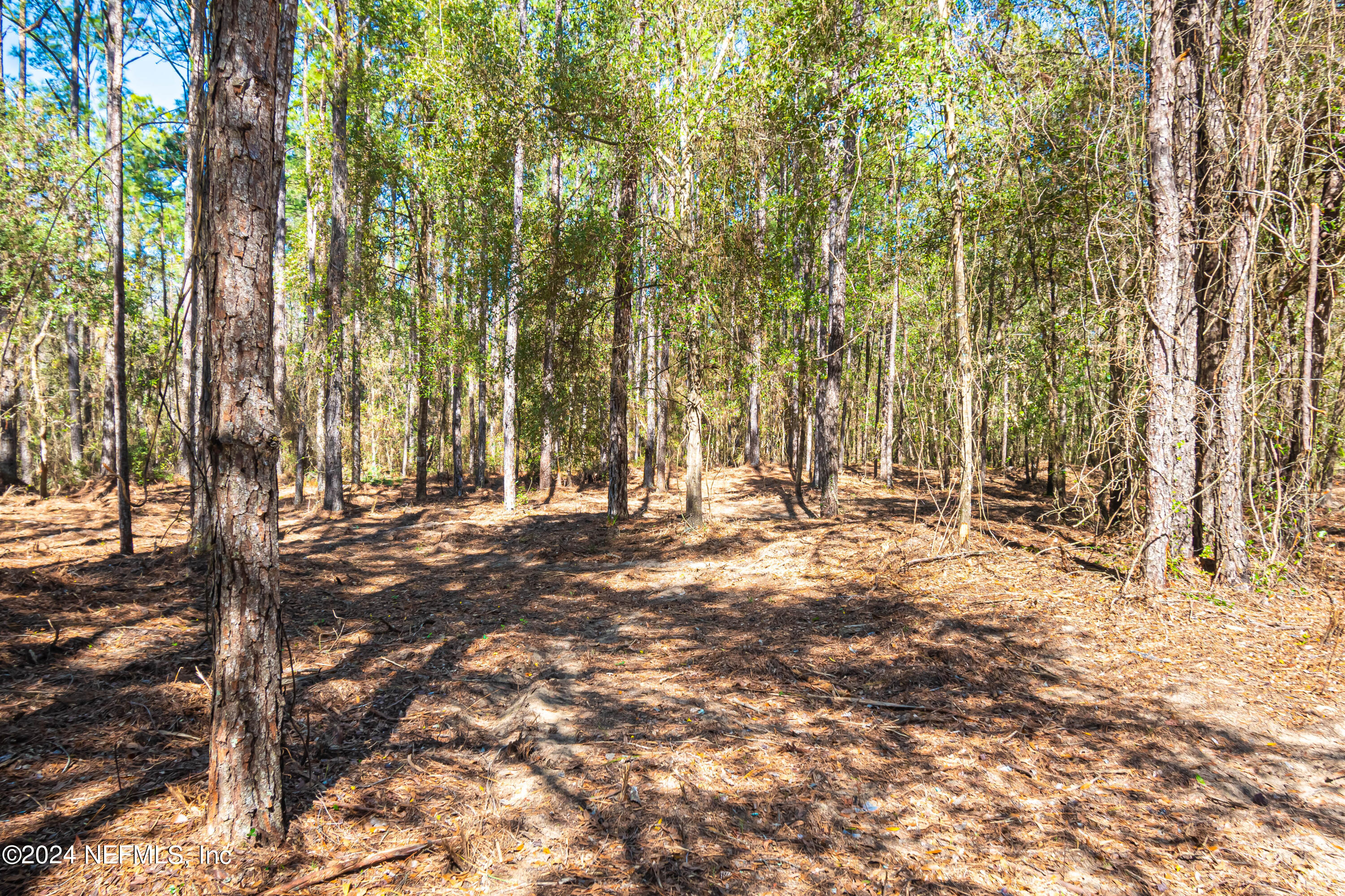 Lot 9 Steel Bridge Road Macclenny, FL 32063 - Photo 3 of 5 untitled-3607
